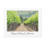 Spring Vineyard in Napa Valley California Post Cards