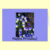 Spring violas in purple and yellow cards