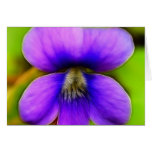 Spring Violet - Purple Power! Greeting Cards