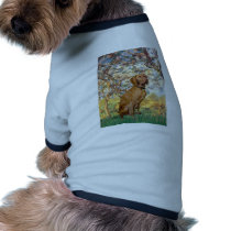 Spring - Vizsla 2 pet clothing
