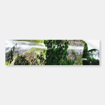 Spring Waters Bumper Stickers