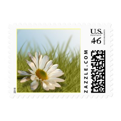 Spring Wedding Daisy Postage Stamp