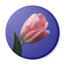 Spring Wedding Tulip Magnet by TDSwhite Spring Wedding Tulip Magnet
