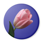 Spring Wedding Tulip Magnet