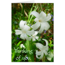 Spring white customization card cards