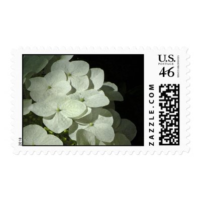 Spring White Hydrangea Postage Stamps