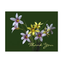 Spring Wildflower Thank You Postcard