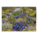 Spring wildflowers Card cards