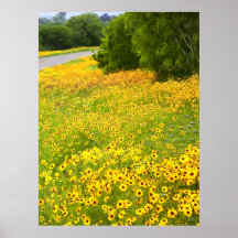Spring Wildflowers - Country Lane - Texas Poster