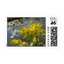 Spring Wildflowers stamp