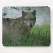 SPRING WOLF MOUSE PAD