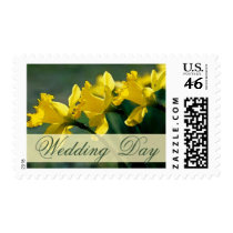 Spring yellow daffodils stamp