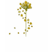 Spring Yellows t-shirts