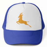 Springbok Trucker Hats