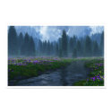 Springcreek posters