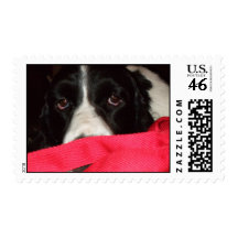 Springer Love Postage