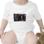 Springer Spaniel Dog Shirt