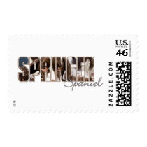 Springer Spaniel Eyes Stamps