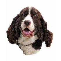 Springer Spaniel Head t-shirts