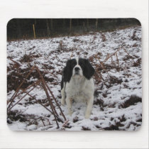 Springer Spaniel in the snow mousepads