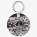 Springer Spaniel, keyring keychains
