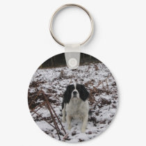 Springer Spaniel, keyring keychains