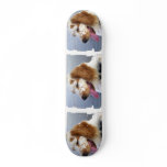 Springer Spaniel Puppy Skateboard