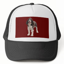 springer spaniel standing hats