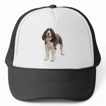 Springer Spaniel Standing hats
