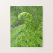 Springing Fern puzzles