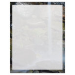 Springlet, Grand Manan Island, New Brunswick, Cana Customized Letterhead