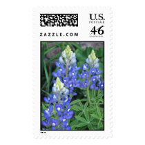 springpics 022 stamp