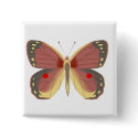 Springs Bounty buttons