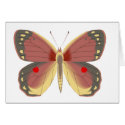 Springs Bounty cards