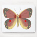 Springs Bounty mousepads