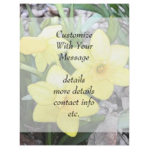 Spring's First Daffodils Full Color Flyer