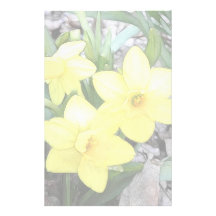Spring's First Daffodils Personalized Stationery