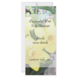 Spring's First Daffodils Rack Card Template