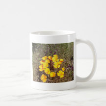 Spring's First Kiss ~ California Poppies Coffee Mug