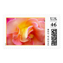 Springs Show postage