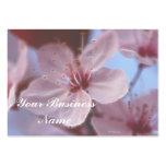 Springs Softness business cards
