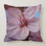 Springs Softness pillows