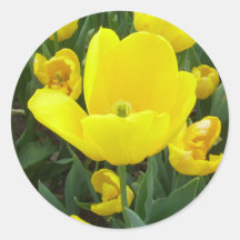 Spring's Sunshine Yellow Tulips CricketDiane Round Sticker