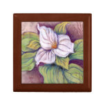 SPRING'S TRILLIUM by CR SINCLAIR gift boxes