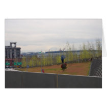 springsculptpark cards by SeattleImagery springsculptpark cards