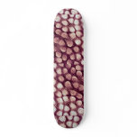 Springtail - side skateboard decks
