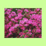 Springtime Azaelas canvas prints