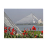 Springtime Bridge postcards