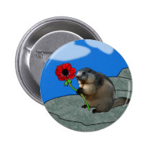 Springtime ! button