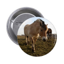 Springtime Button